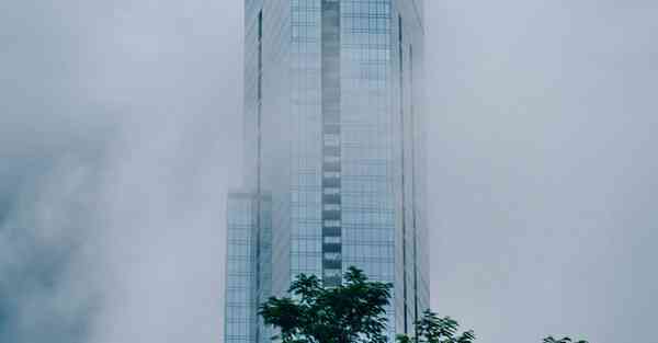 雷霆加速npv官网,雷霆加速加速器2.2.2