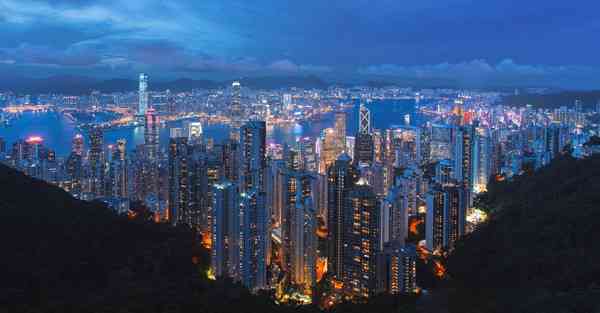 手机npv软件下载,海豚npv